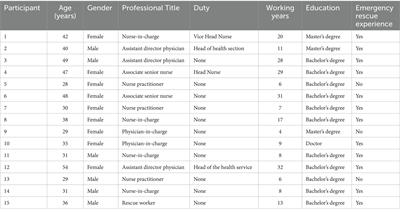 Composition and influencing factors of professionals’ capacity in public health emergency rescues: a qualitative study